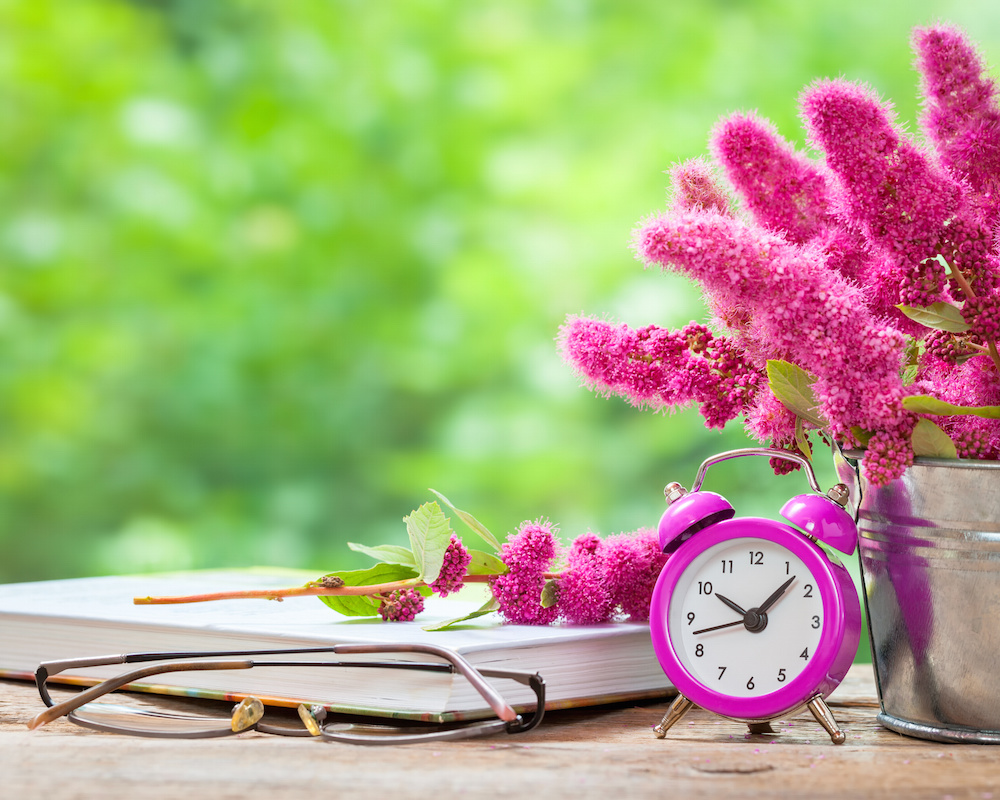 Vintage still life: flowers in bucket, pink alarm clock and bucket on wooden table outdoors