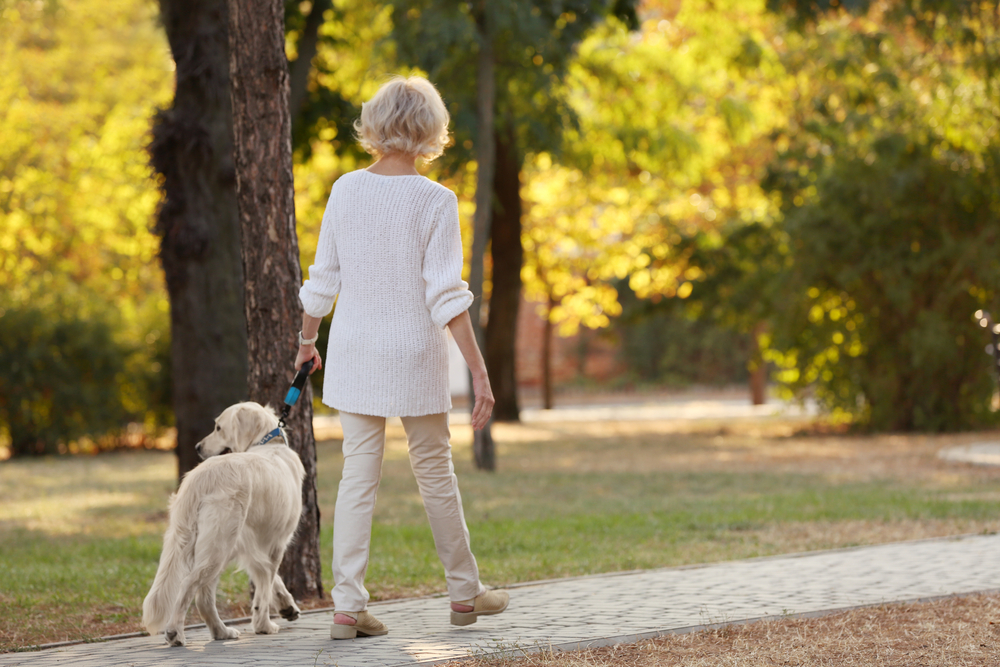 Senior,Woman,Walking,With,Dog,In,Park