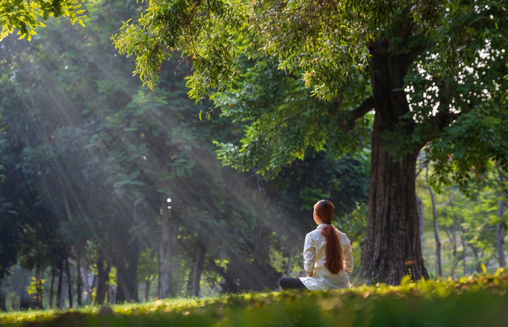 Back,Of,Woman,Relaxingly,Practicing,Meditation,In,The,Forest,To