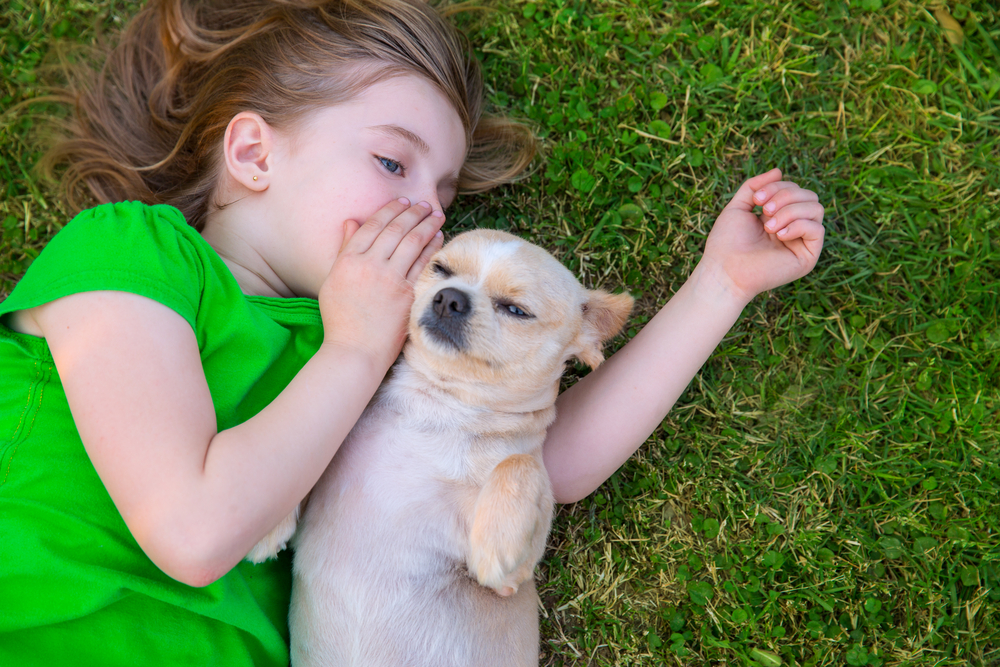 Blond,Happy,Girl,With,Her,Chihuahua,Doggy,Portrait,Lying,On